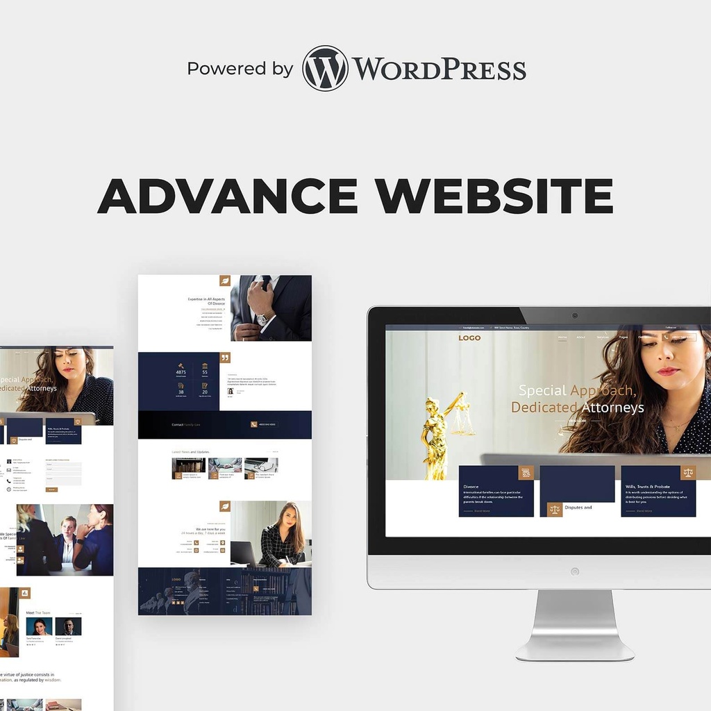 WordPress Advance Website
